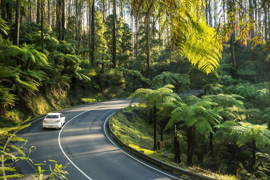 Lithgow Falls Мэрисвилл Экстерьер фото